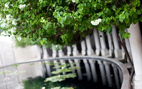 Holocaust Memorial Detail
