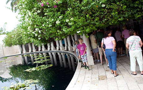 Group entering to the Arbor of History