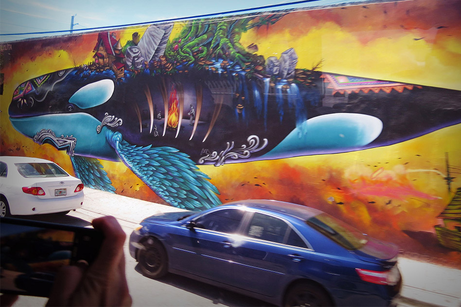 Wynwood Art District: Killer whale mural